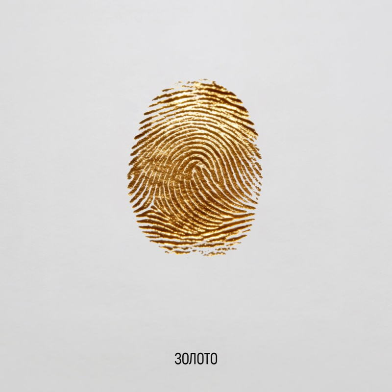 PIZZA - Золото.jpg