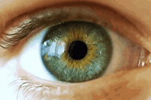 pupil-vision.gif
